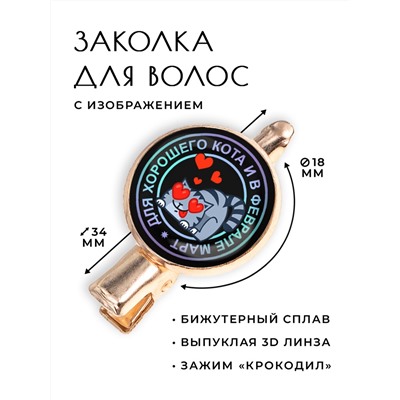 HZF-0124 Заколка Для хорошего кота