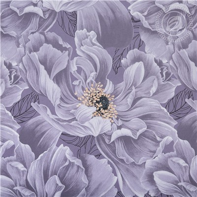 КПБ Шанс поплин Арт Дизайн