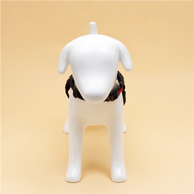 Шлейка К7 мягкая светоотражающая, размер М, ОГ 52-66 см, вес 9.5-17.5 кг, леопард