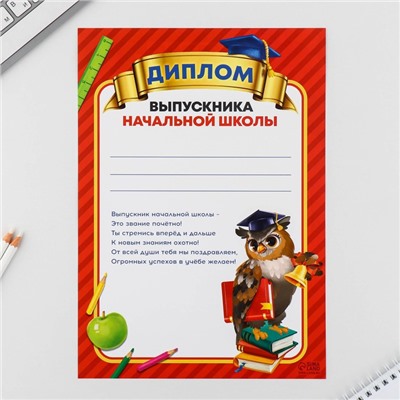 Подарочный набор, в папке 7 предметов «Набор выпускника»