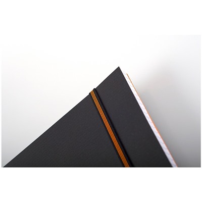 Бизнес-тетрадь 80л., А4+, клетка на гребне Rhodia "Active. ProBook", пластик. обложка, карман, 90г/м2