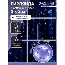 Гирлянда «Занавес» 2 × 2 м роса, IP20, серебристая нить, 300 LED, свечение белое, 12 В