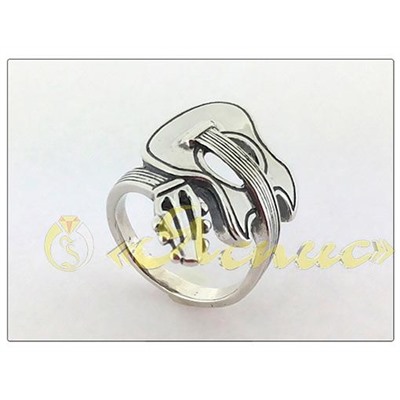 1113К   Гитара