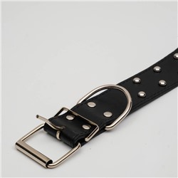 Ошейник клепаный в 2 ряда, 63,5 х 3,8 см, черный