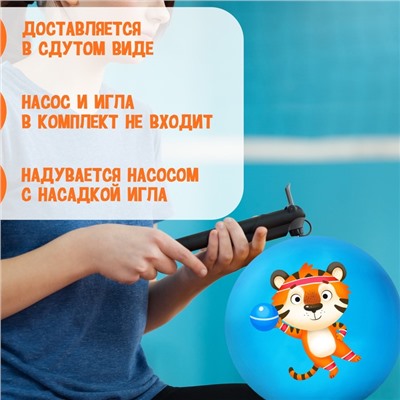 Мяч детский, d=22 см, 60 г, цвета микс