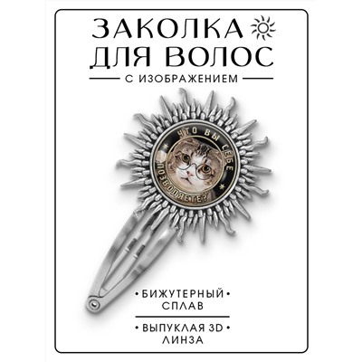 HZG-0368 Заколка Что вы себе позволяете?