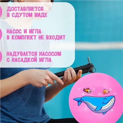 Мяч детский «Кит», 22 см, 60 г, цвета МИКС