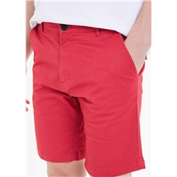 Big & Tall Geo Print Chino Shorts