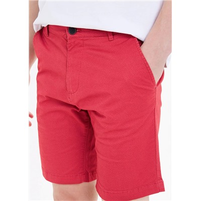 Big & Tall Geo Print Chino Shorts