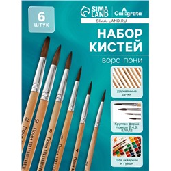 Набор кистей пони 6 штук (круглые:№ 2, 4, 6, 8, 10, 12), с деревянными ручками, на блистере