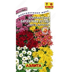 Хризантема Бархатная Осень корейск.