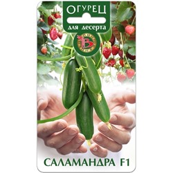 Огурец Саламандра F1