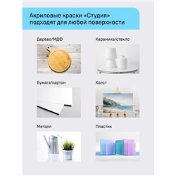 Краски акриловые художественные Гамма "Студия", 12цв., 18мл/туба, картон. упаковка
