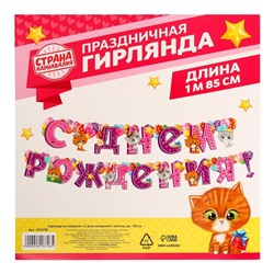 Гирлянда на люверсах «С днём рождения!»