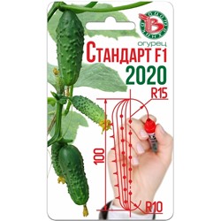 Огурец Стандарт F1 2020