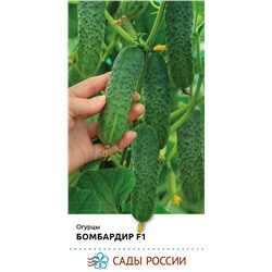 Семена Огурец Бомбардир F1, арт.: 74354