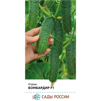 Семена Огурец Бомбардир F1, арт.: 74354