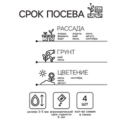 Семена цветов Пеларгония "Кабаре" смесь, Мн, DARIT, F2, 4 шт.
