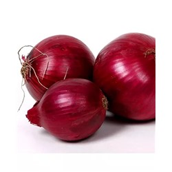 Лук севок Кармен МС, арт.: 69511