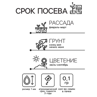 Семена цветов Колокольчик "Cмесь окрасок", 0,1 г
