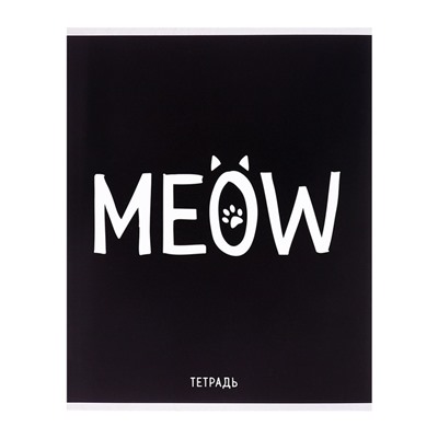 Тетрадь 48 листов в клетку, Calligrata Meow, обложка мелованный картон, МИКС