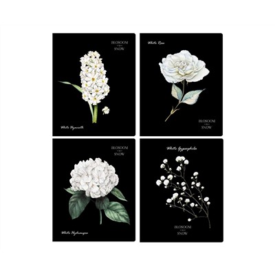 Тетрадь 48л., А5, клетка BG "Blossom in snow", блестки