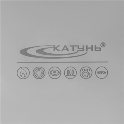 Котёл Катунь «Общепит», 20 л, d=35 см, h=24 см, капсульное дно, индукция, нержавеющая сталь