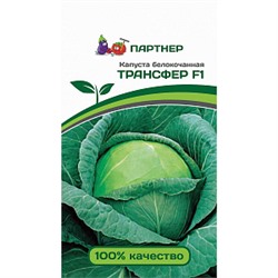 Семена Капуста белокочанная Трансфер F1, арт.: 8598