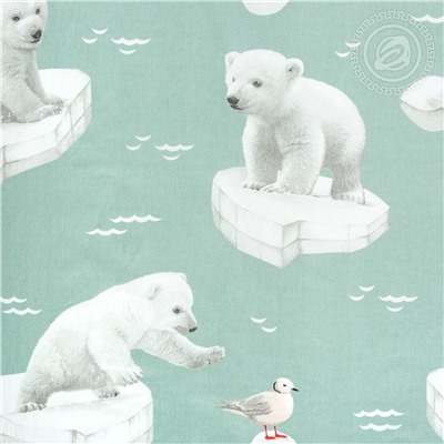 КПБ Снежок поплин Арт Дизайн