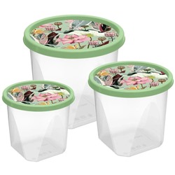 Набор контейнеров для продуктов 3шт (0,6л+1л+1,75л) "Botanica" с декором (зеленый)