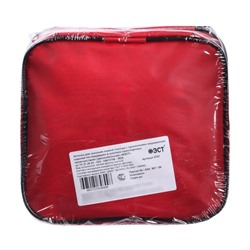 Автомобильная аптечка первой помощи «ФЭСТ», состав 2024, дорожная