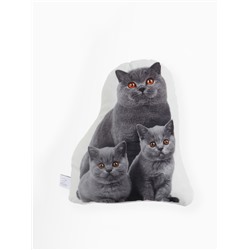 Подушка «Этель» Сat family 40×33 см, 100% п/э, велюр