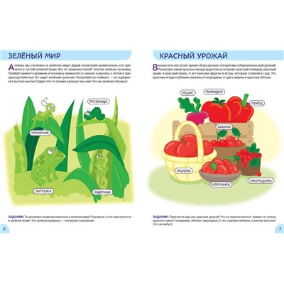 Окружающий мир. Первые занятия для малышей