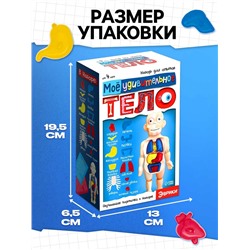 Набор для опытов «Мое удивительное тело»