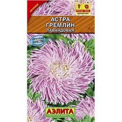 Астра Гремлин лавандовая, арт.: 71236