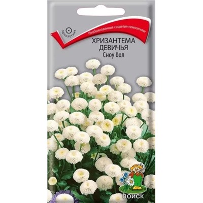 Хризантема девичья (Приретрум девичий) Сноу бол, арт.: 70663