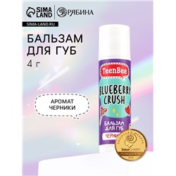 Бальзам для губ с ароматом черники, 4 г, TeenBee