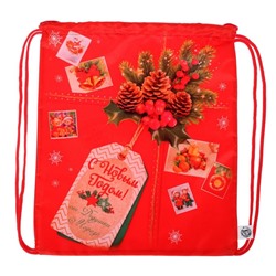 Новогодний мешок под сладости 290×340 мм, «С Новым годом», посылка (мягкий полиэстер плотностью 210D)
