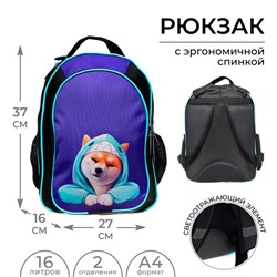 Рюкзак школьный, 37×27×16 см, эргономичная спинка, Calligrata Б «Сиба»