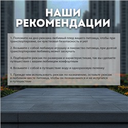Рюкзак-переноска для кошек и собак, 39 х 40 х 25 см, бирюза