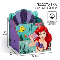 Органайзер для канцелярии, 14×14×16 см, «Принцессы»