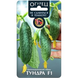 Семена Огурец Тундра F1, арт.: 9508