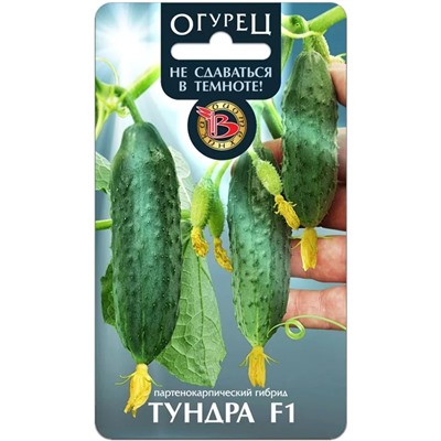 Семена Огурец Тундра F1, арт.: 9508