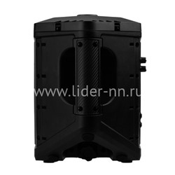 Колонка 08" (30-80 DANCE BOX 550) динамик 1шт/8" ELTRONIC с TWS