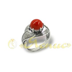 0647К   Соната