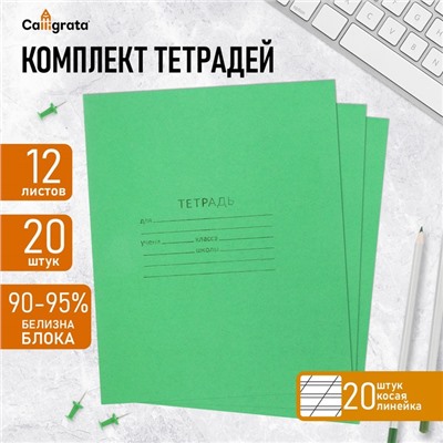 Набор тетрадей 12 листов в косую линейку «Зелёная обложка», белизна 92%, белые листы, 20 шт.