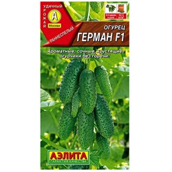 Огурец Герман F1 суперранний