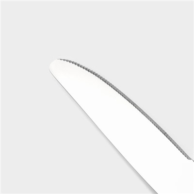 Набор ножей столовых Magistro «Виконт», длина 24 см, набор 6 шт., нержавеющая сталь, серебристый