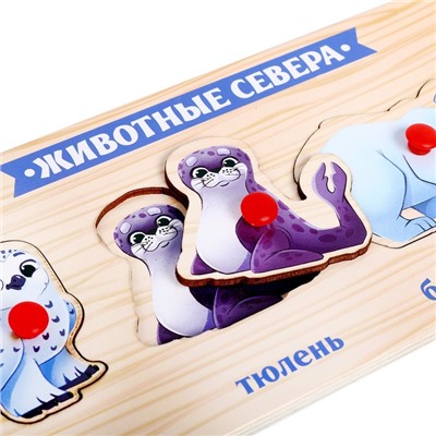 Рамка - вкладыш «Животные Севера»
