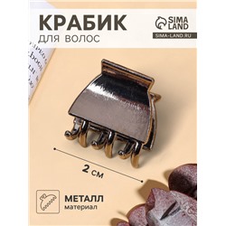 Крабик для волос «Брианна», геометрия, 2 см, тёмное серебро